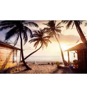 Прямой рейс в Гоа из Ташкента!